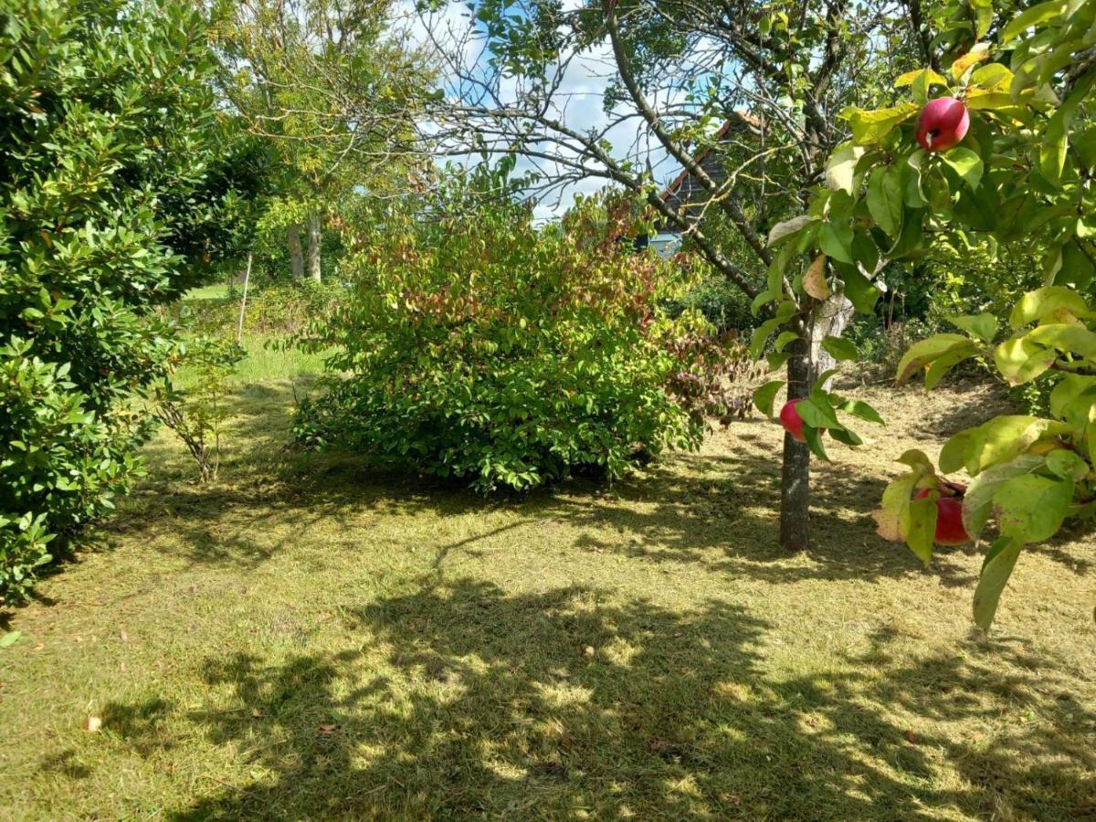 Le Jardin Secret Saint-Omer (Pas-de-Calais) Exterior foto